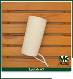Loofah N&ordm; 1       
Click to enlarge